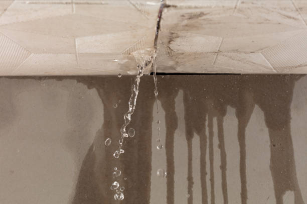 Professional Burst Pipe Cleanup technician working in Clayton, AL